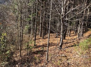 47 Tallwood Rd #10, Leicester, NC 28748