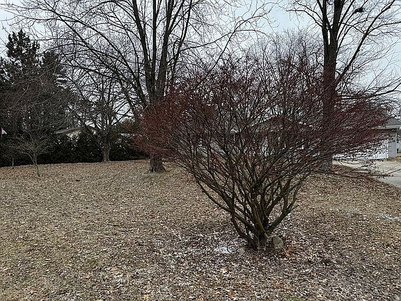 4th image of 4720 E 1040 N