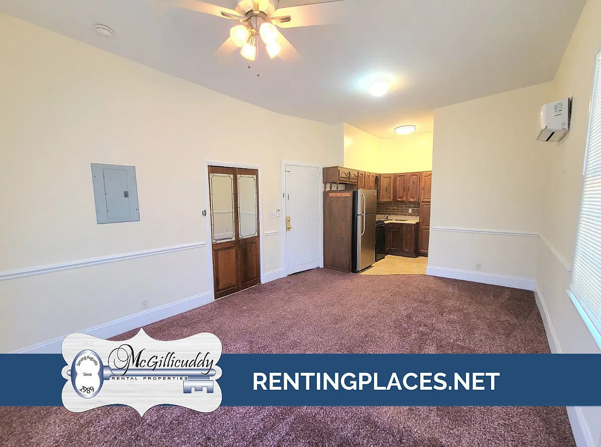 Studio, 350 sqft, $875 — Photo 4