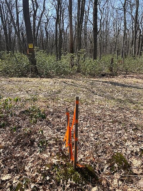 2nd image of 0 S Folino Rd #98