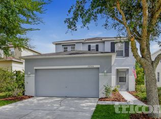 19706 Timberbluff Dr, Land O Lakes, FL 34638