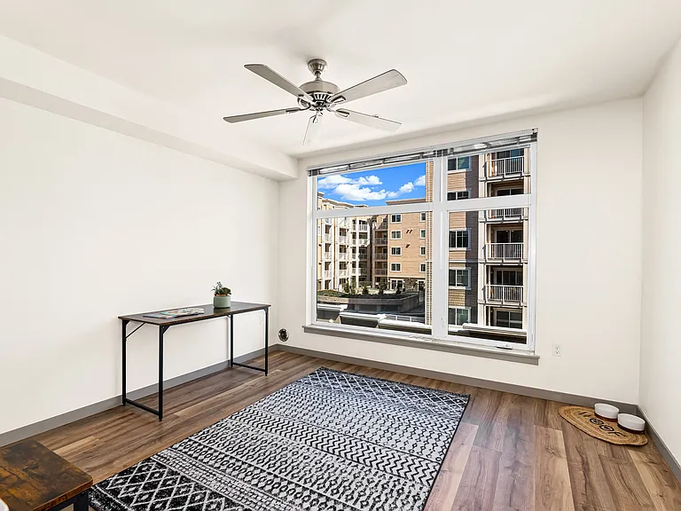 Ellinor Ballard — Photo 18