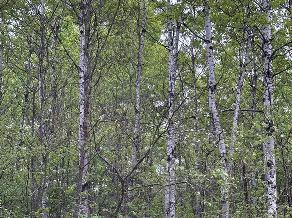 Kelly Dam Rd Lot 8, Tomahawk, WI 54487