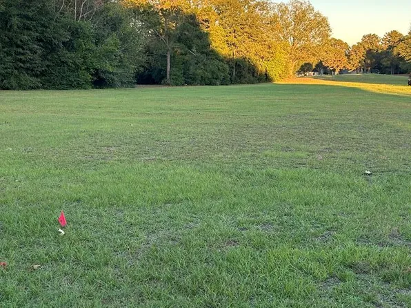 LOT 95 Country Club Of Alabama, Eufaula, AL 36027