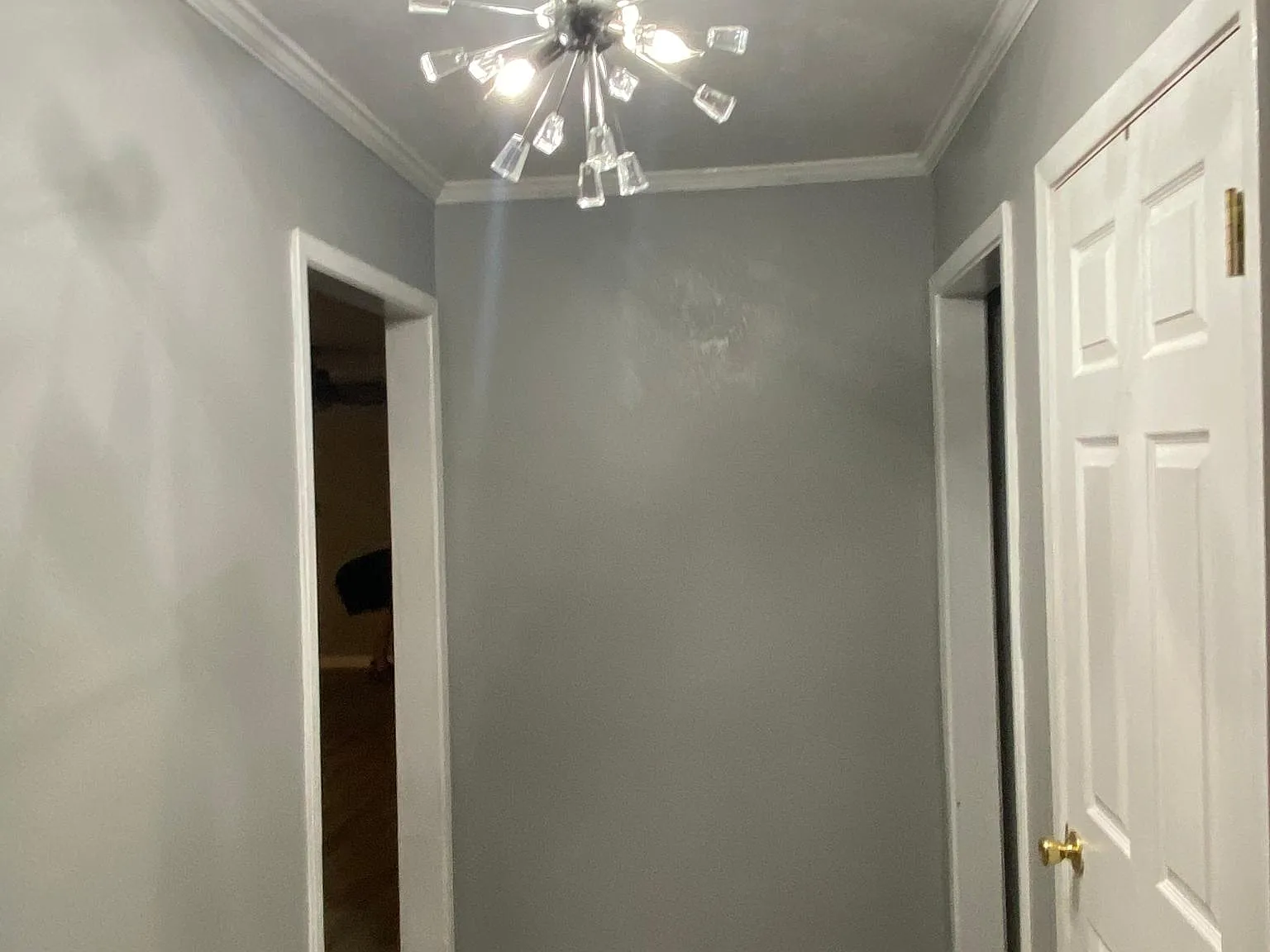 5 bed, 2268 sqft, $3,000 — Photo 3