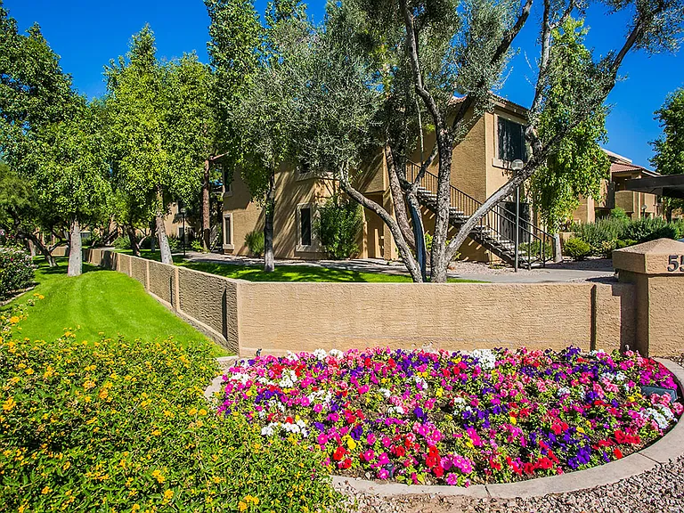 Beautiful Landscaping