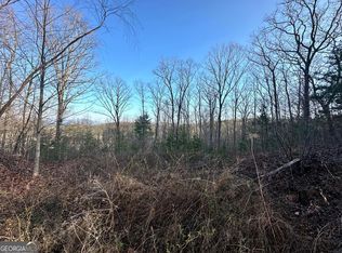 421 Plantation Ln #11, Blue Ridge, GA 30513