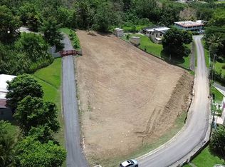 19 Vidal Santos #19, Gurabo, PR 00778