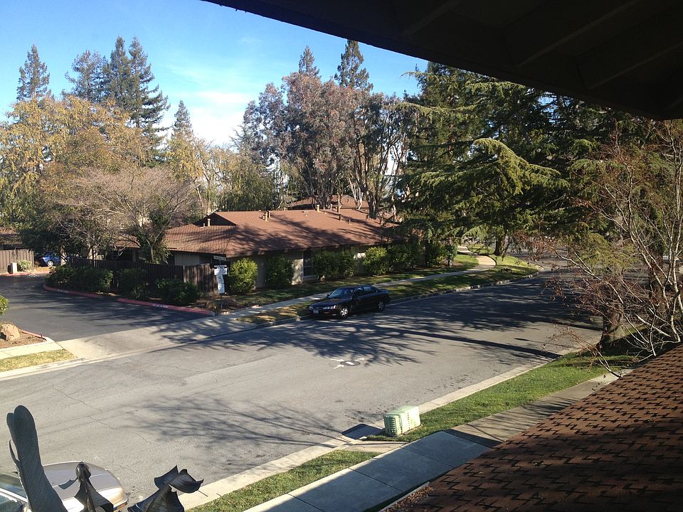 Great neighborhood for walking. Close to schools and shops, but still woodsy!