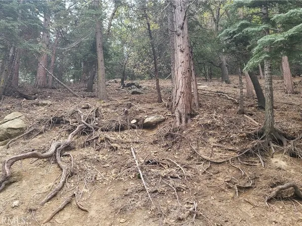 60 Lausanne Dr #60, Crestline, CA 92325