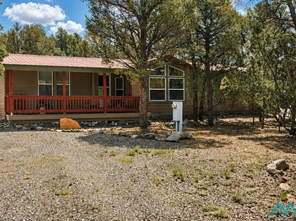228 El Caso Rd, Quemado, NM 87829