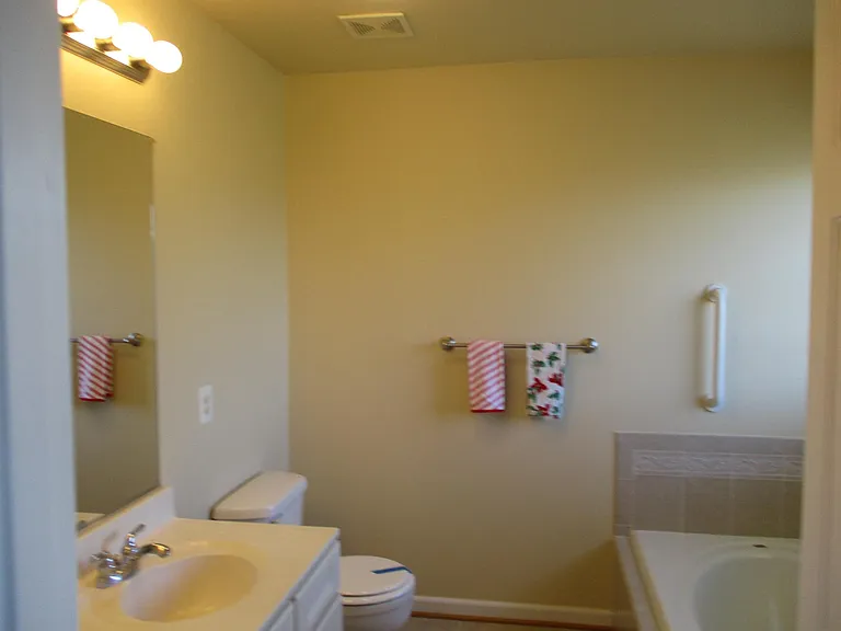 Owner's bathroom