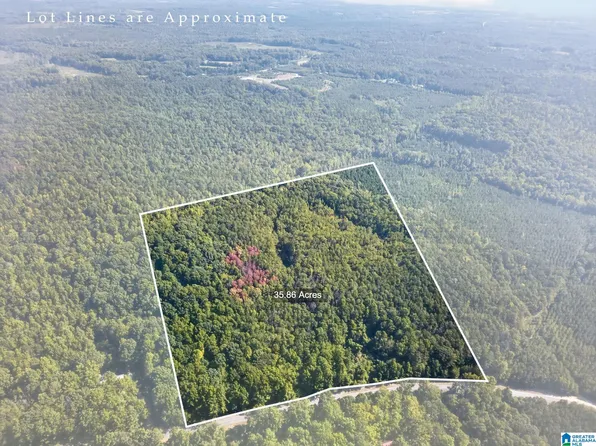 0 County Road 158 #0, Roanoke, AL 36274