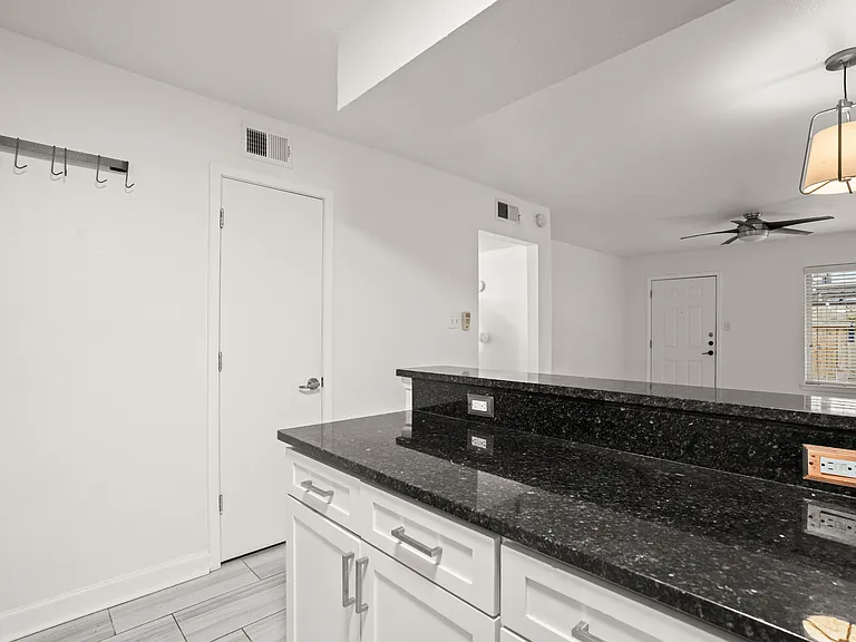 2020 S Congress Ave #A2102 — Photo 6