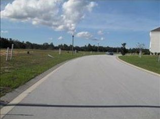 825 Desert Mountain Ct, Kissimmee, FL 34747