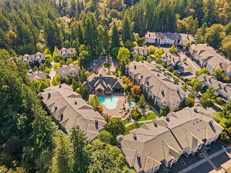 Discover your retreat in the mountains, where modern living meets forested tranquility