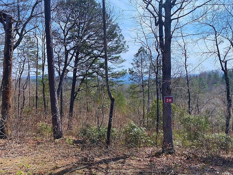 1st image of 28 Brasstown