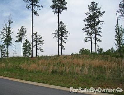 Street view
						:
						View from street looking at the lot.