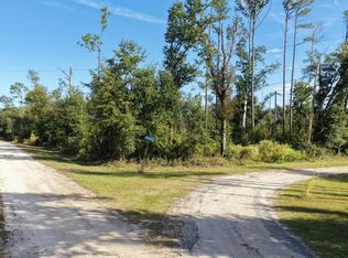 Vacant Sw Hopewell Farms Rd, Madison, FL 32340