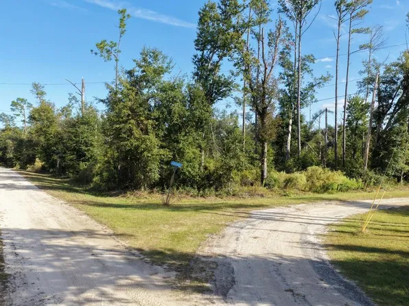 Vacant Sw Hopewell Farms Rd, Madison, FL 32340