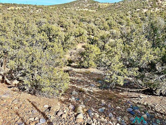3rd image of County Road 2550