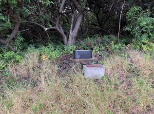 Wakea Ave LOT 816, Naalehu, HI 96772