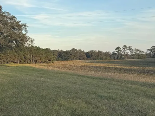 LOT 6 Highway 231, Brundidge, AL 36010