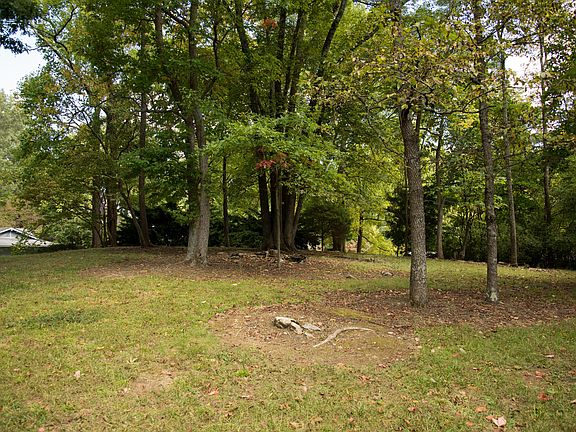 4th image of 1228 Tanglewood Dr