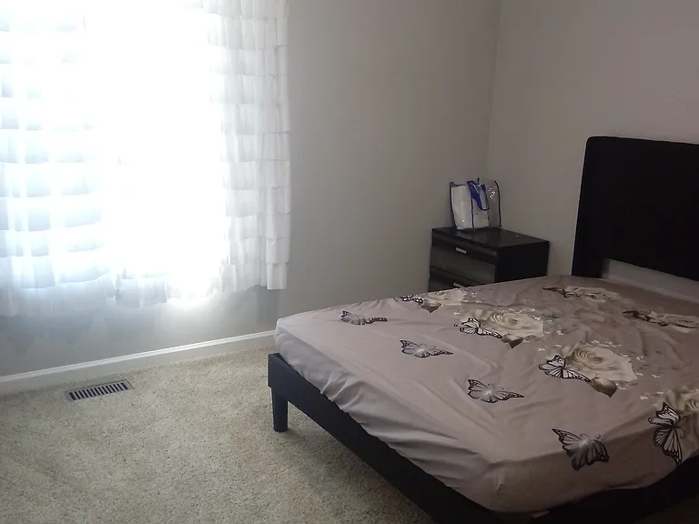 986 May Apple Dr — Photo 19