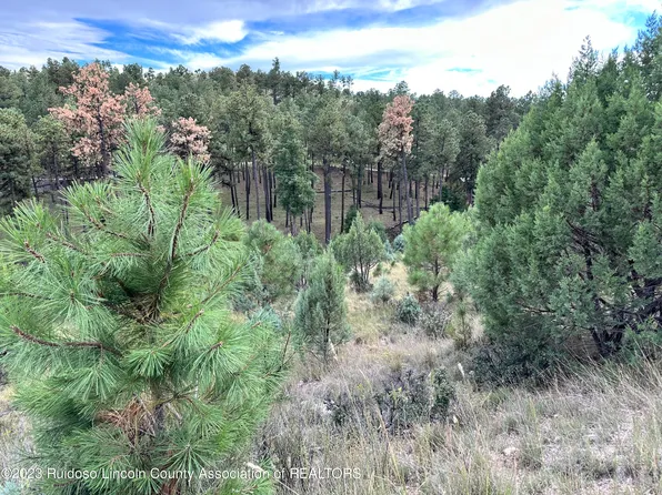 LOT 4 Stable Rd, Alto, NM 88312