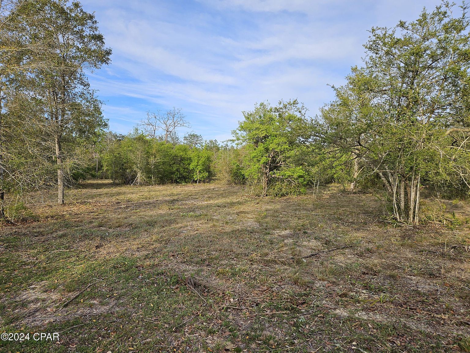 0000000 Leisure Lakes Drive, Chipley, FL 32428 Zillow