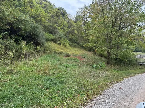 0 Lynn Camp Rd, Elizabeth, WV 26143