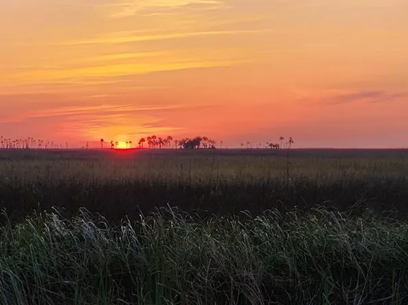 84 SE 240th St, Suwannee, FL 32692