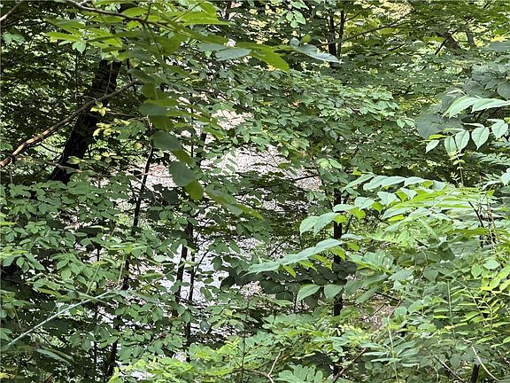 5th image of 0 State Route 224