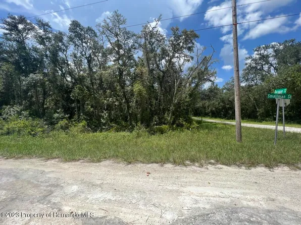 Smallman St, Webster, FL 33597