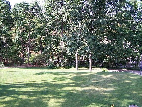 Rear View into trees
