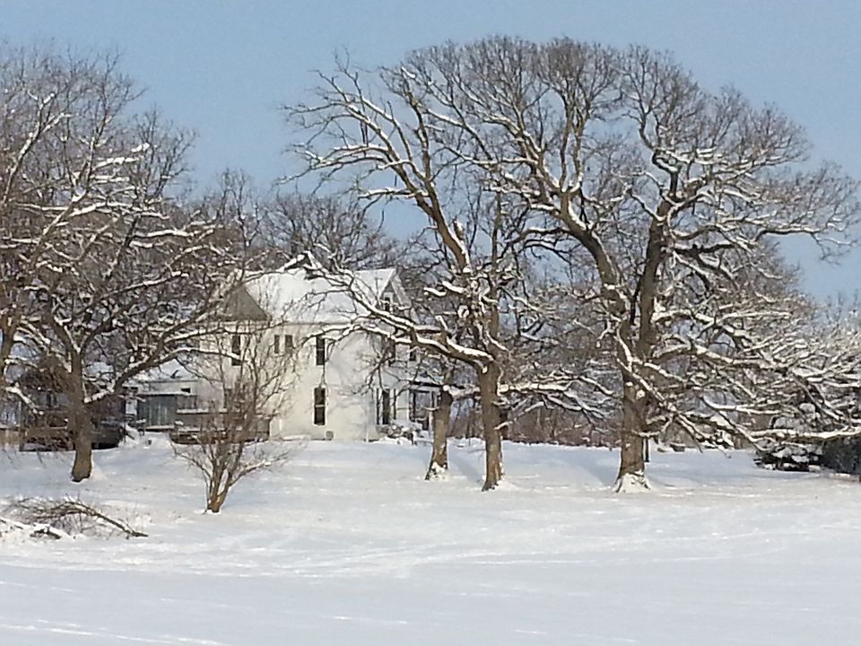 2nd image of 1729 Pammel Park Rd