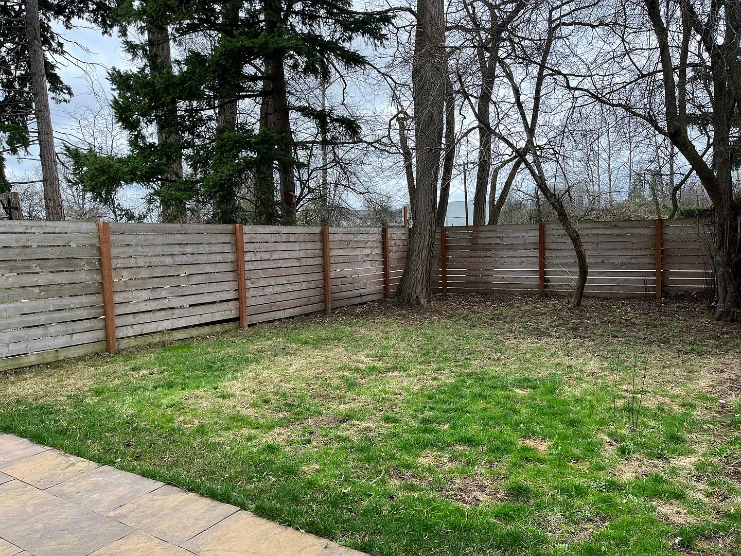 3 Bed, 2 Bath Home- Fenced Back Yard! — Photo 4