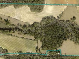 395 Hancock Rd, Doerun, GA 31744