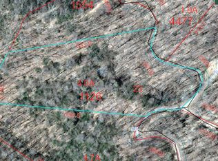 Angel Falls Road, Clyde, NC 28785