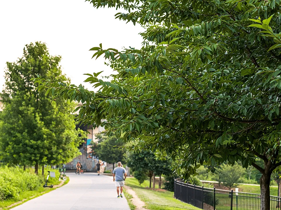 EastWood Townhomes