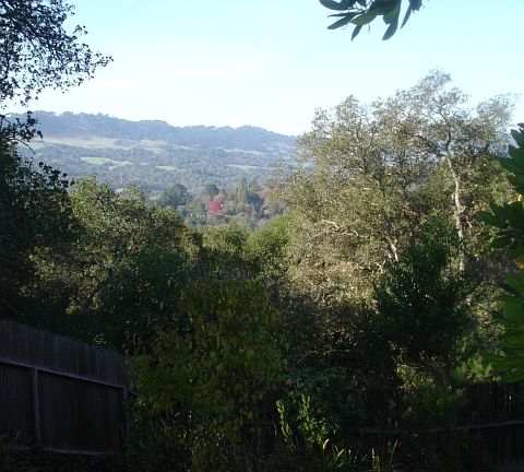 View of Berkeley hills