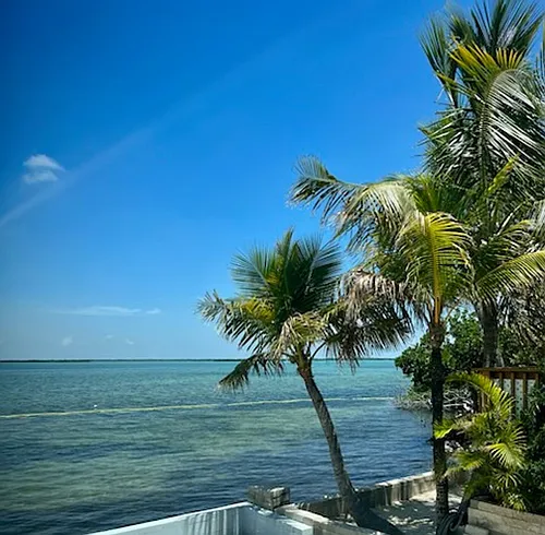 55 Boca Chica Rd #431 Photo 1