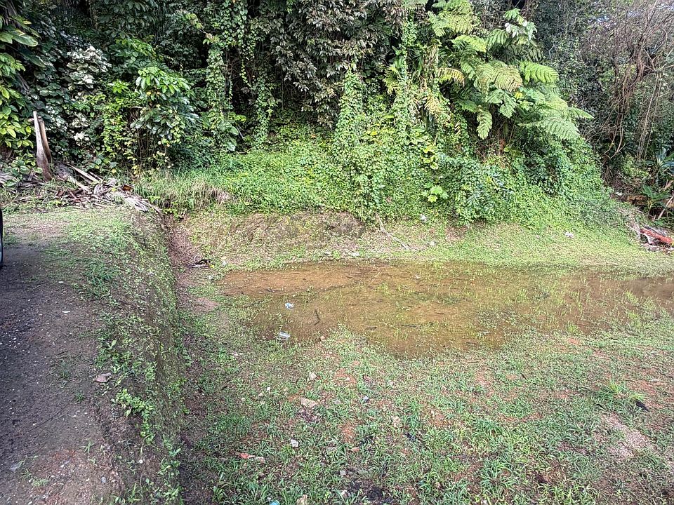 1st image of C El Carla Cedros #10