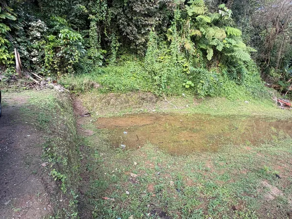 C El Carla Cedros #10, Naranjito, PR 00719