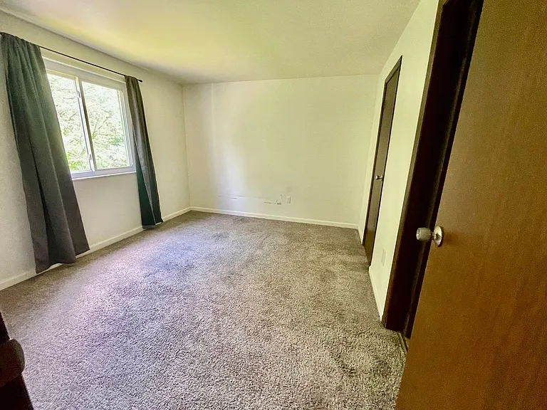 946 Carle Street — Photo 8