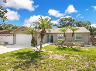 3512 King Richard Ct, Seffner, FL 33584