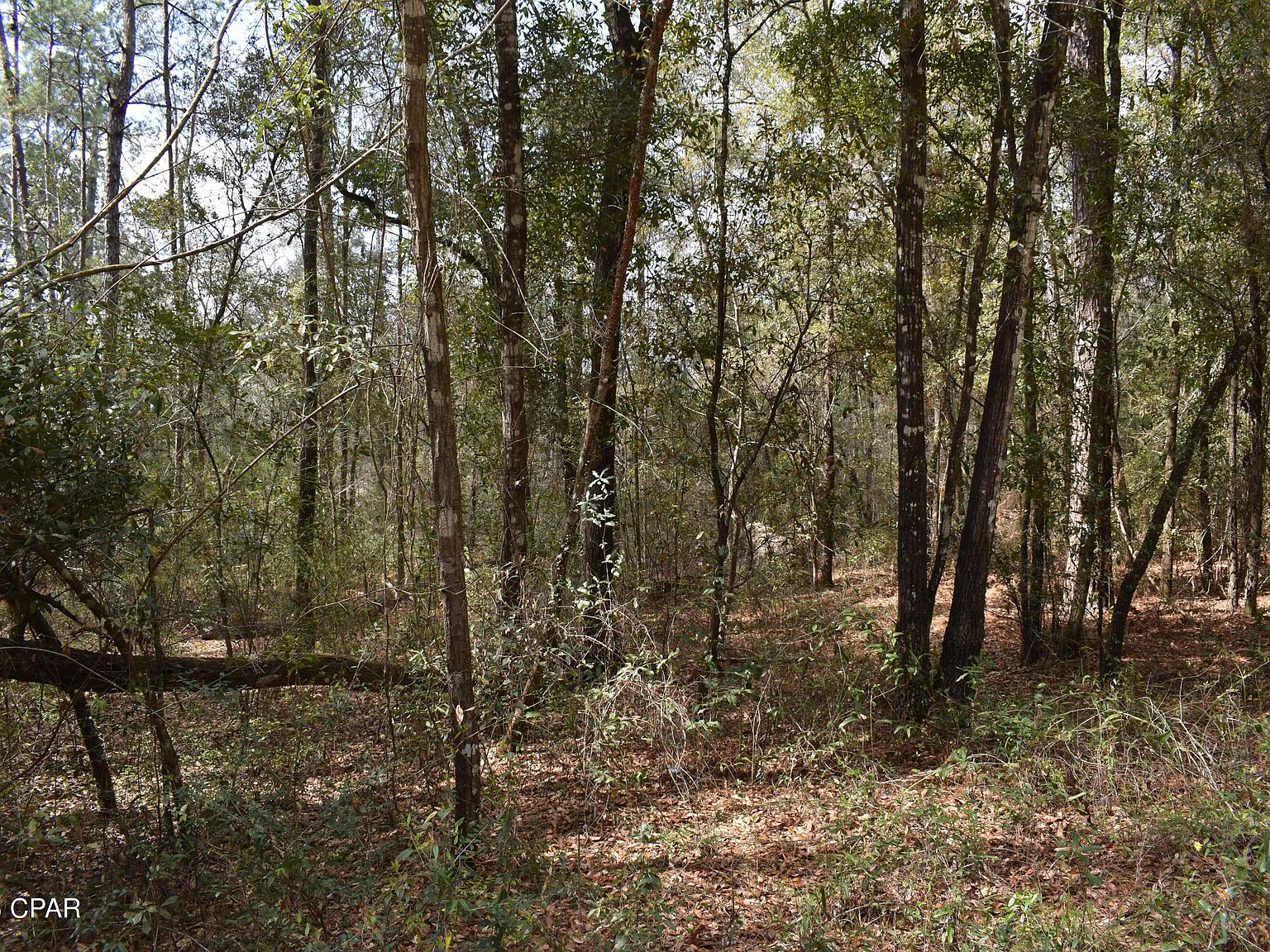 Payne Lake Rd, Chipley, FL 32428 MLS 737970 Zillow