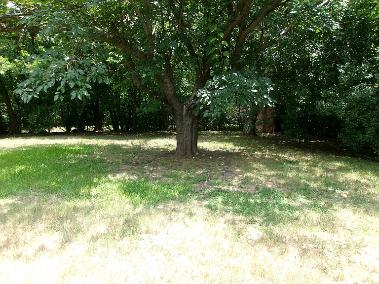 1519 Rambler Rd — Photo 13
