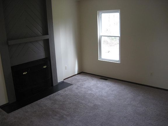 New Carpet and Paint Wood Burning Fireplace